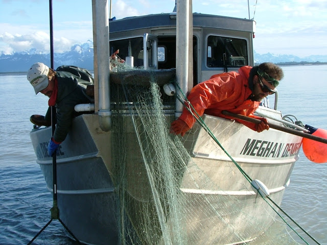 Fishermen hauling in nets