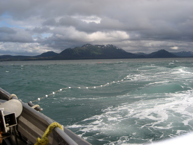 Large net s are placed in prime fishing spots. These spots usually offer great habitat for king salmon and other Alaskan sea life.