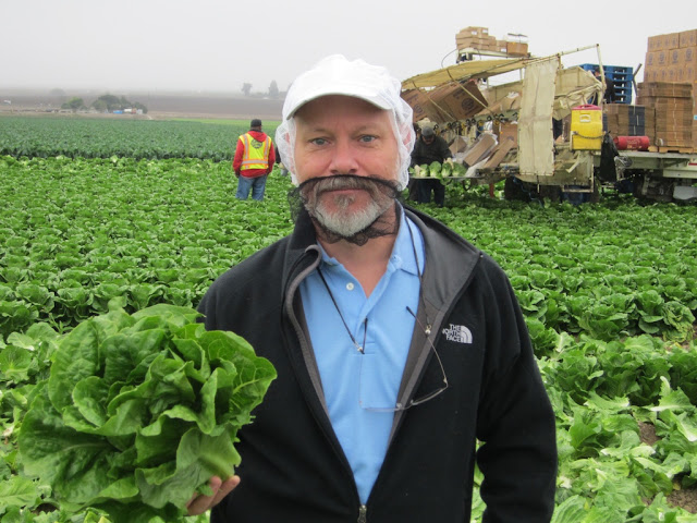 Chef Mick in a lettuce field