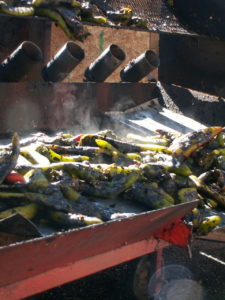 Fresh Roasted Green Chiles