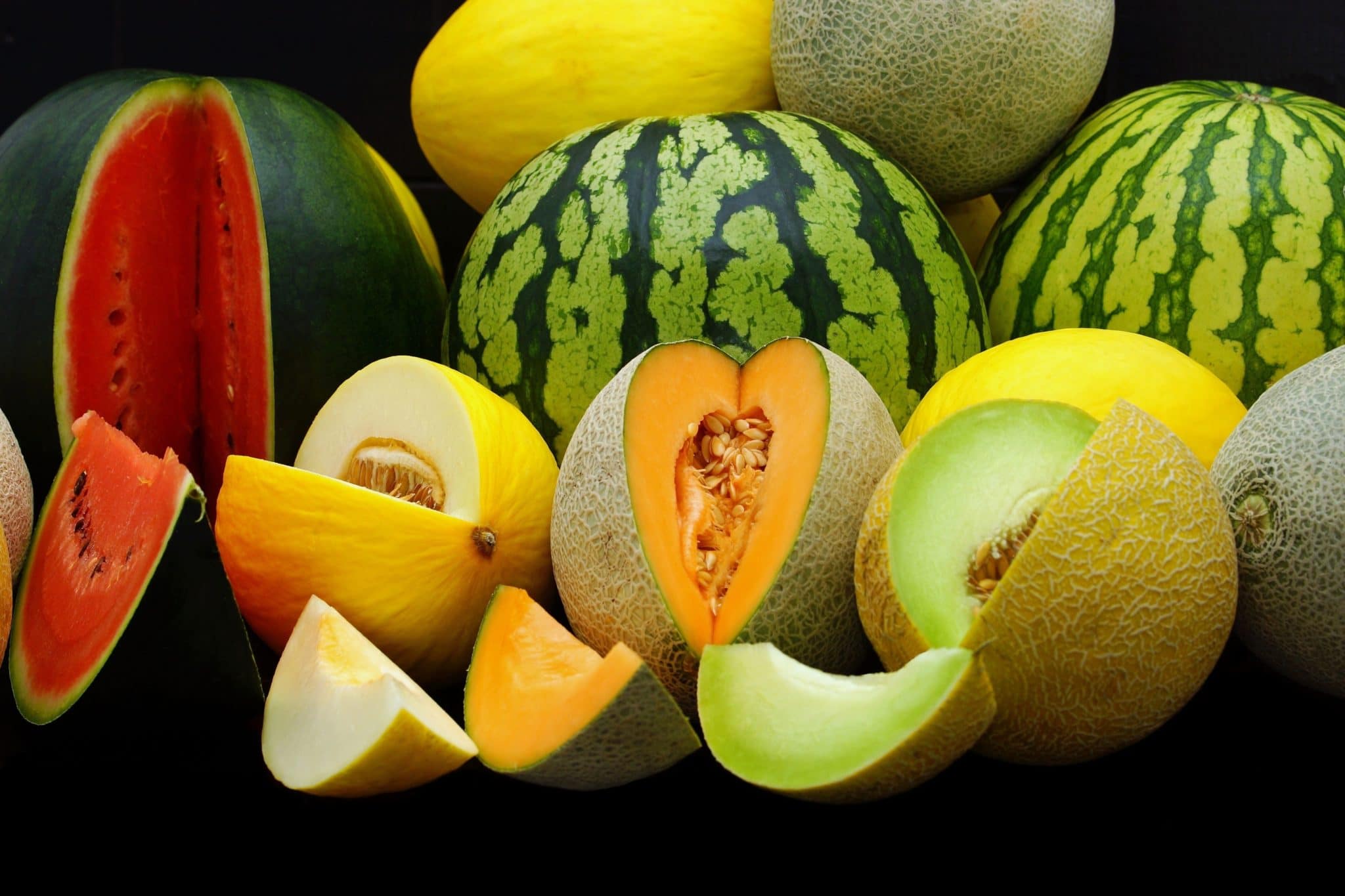 Rocky Ford Melons - Watermelon, Cantaloupe, Honeydew