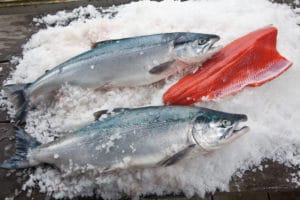 salmon product photo 7
